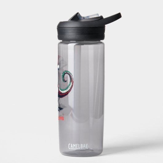 Bouteille D'eau rapace de Noël Santa hat (Gauche)