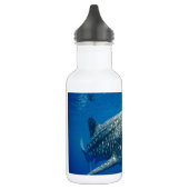 Bouteille D'eau Requin baleine (Gauche)