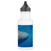Bouteille D'eau Requin baleine (Droite)