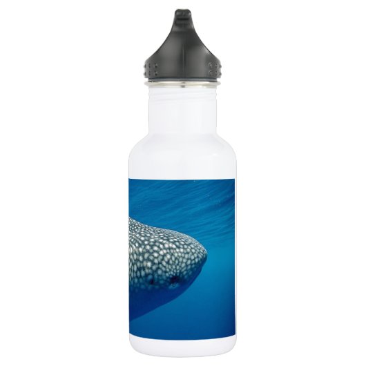 Bouteille D'eau Requin baleine (Droite)