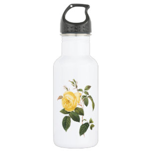 Bouteille D'eau rose de thé (Rosa indica) par Redouté