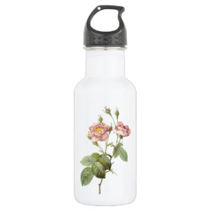 Bouteille D'eau rose pâle (Rosa centifolia anemonoides) par Redout