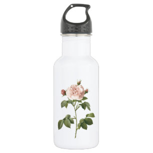 Bouteille D'eau rose rose pâle (Rosa alba regalis) par Redouté
