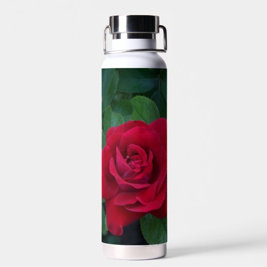 Bouteille D'eau Rose rouge de près (Arrière)