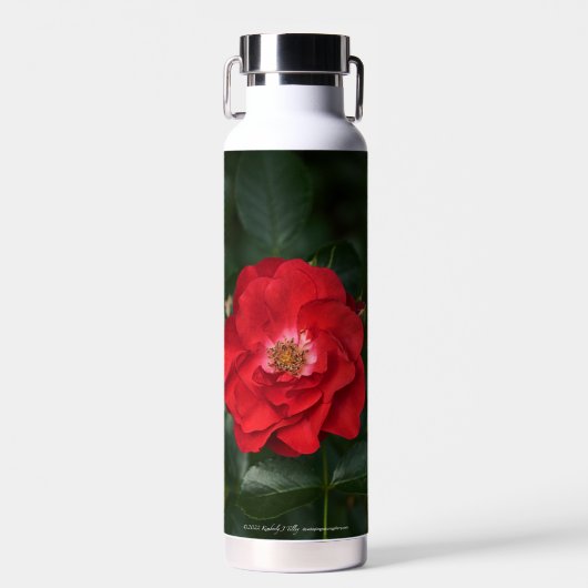 Bouteille D'eau Rose rouge P6568 (Avant)
