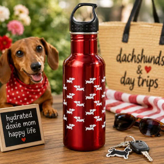 Bouteille d'eau rouge pour chien teckel chien sauc