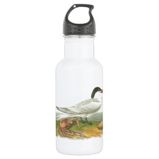 Bouteille D'eau Royal Tern par Audubon