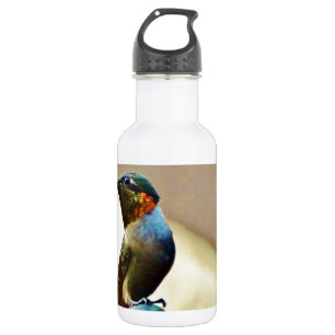 Bouteille D'eau Ruby perché et petit colibri vert