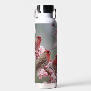 Bouteille D'eau "Scarlet Trio : Finies rouges parmi les fleurs ros