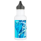 Bouteille D'eau Scorpion bleu (Gauche)