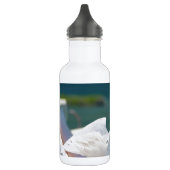 Bouteille D'eau Seagull.JPG (Gauche)