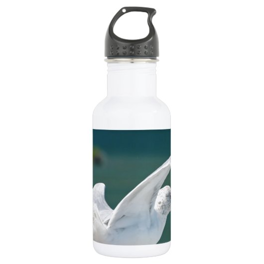 Bouteille D'eau Seagull.JPG (Devant)