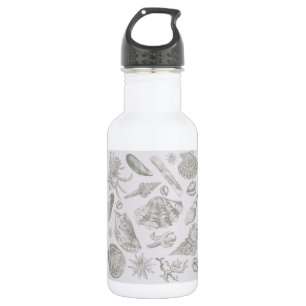 Bouteille D'eau Seashell Soft Antique Art Beach Shops
