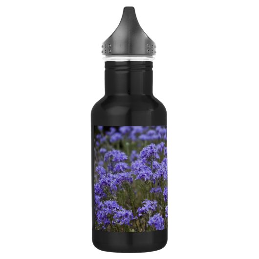 Bouteille D'eau Sept chênes (Gauche)