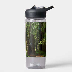 Bouteille D'eau Séquoias et fougères au parc national de Redwood