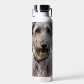 Bouteille D'eau Serene Majesty : Wolfhound assis dans un Iris pour (Avant)