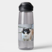 Bouteille D'eau Shih Tzu (Arrière)