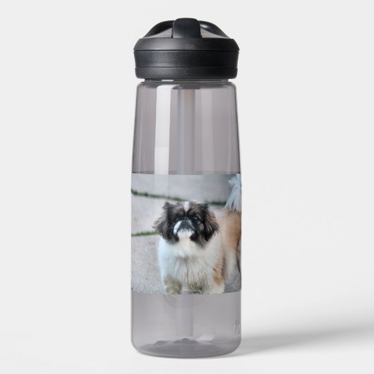 Bouteille D'eau Shih Tzu (Avant)