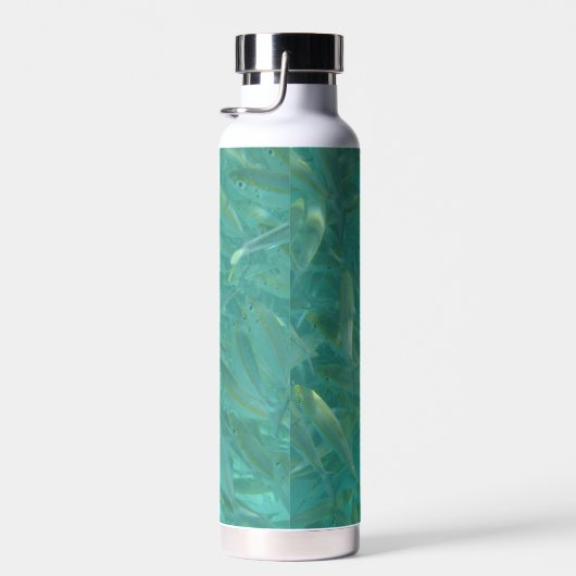 Bouteille D'eau Shoal of Fish (Plage)