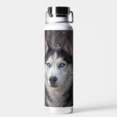 Bouteille D'eau Sibérien Husky (Arrière)