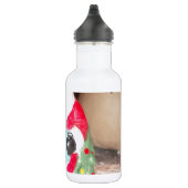 Bouteille D'eau Skeezer mignon Père Noël.JPG (Droite)