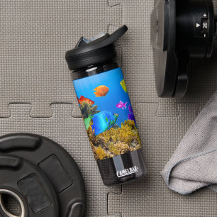 Bouteille D'eau SlipperyJoe's Fish Pride tropicale vert bleu pourp