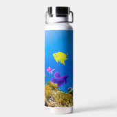 Bouteille D'eau SlipperyJoe's Fish Pride tropicale vert bleu pourp (Arrière)