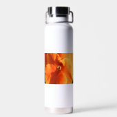 Bouteille D'eau Soleil (Arrière)