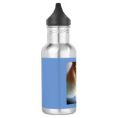 Bouteille D'eau Spirit Animal Mountain Lion 2 (Gauche)