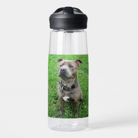 Bouteille D'eau Staffordshire Bull Terrier Assis À L'Attention, (Avant)