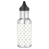 Bouteille D'eau Stainless steel water bottle with a black cap  (Gauche)