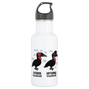 Bouteille D'eau Statistiques au sol de Hornbil
