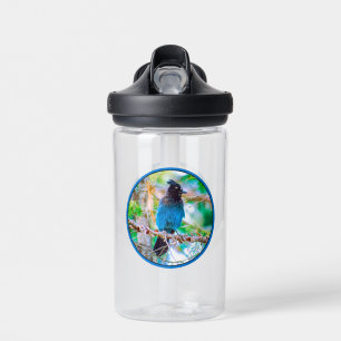 Bouteille D'eau Steller's Jay - Photographie originale