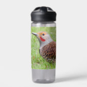 Bouteille D'eau Stunning Northern Flicker Foraging in the Grass (Extérieur)