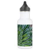 Bouteille D'eau Succulent plante du désert (Droite)