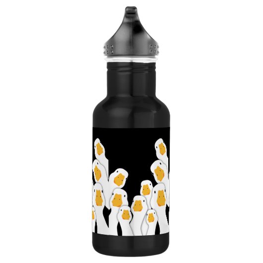 Bouteille D'eau Surveillance des oies : surveillance spatiale des  (Droite)