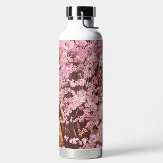 Bouteille D'eau Sweet Cherry
