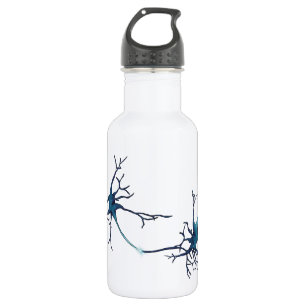 Bouteille D'eau Synapse Entre Neurons, Neuroscience Neuron
