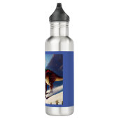 Bouteille D'eau T Rex Skiing (Droite)