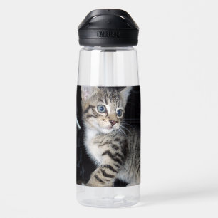 Bouteille D'eau Tabby Kitten malicieux,