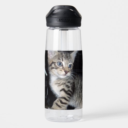 Bouteille D'eau Tabby Kitten malicieux, (Arrière)