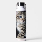 Bouteille D'eau Tabby Kitten malicieux, (Avant)