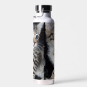 Bouteille D'eau Tabby Kitten malicieux, (Plage)