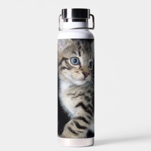 Bouteille D'eau Tabby Kitten malicieux,