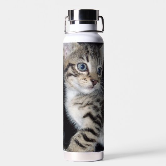 Bouteille D'eau Tabby Kitten malicieux, (Arrière)