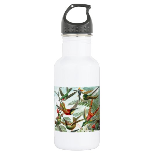 Bouteille D'eau tableau classique de la faune des oiseaux colibris (Devant)