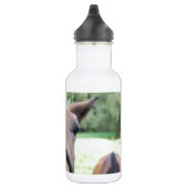 Bouteille D'eau Tête de cheval (Droite)