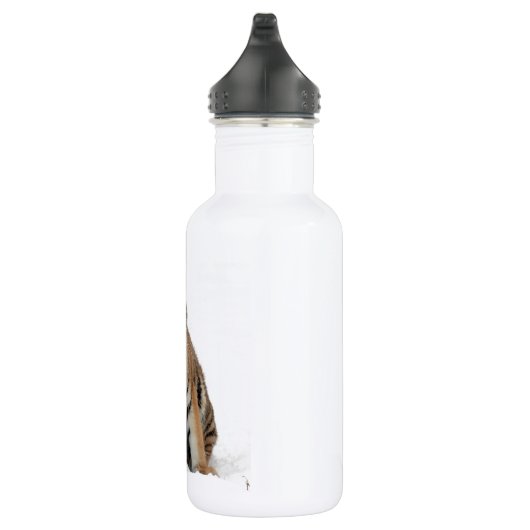 Bouteille D'eau Tiger Cub in the Snow Photograph (Droite)