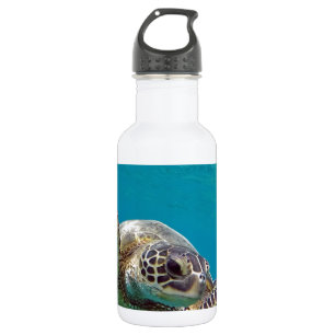 Bouteille D'eau Tortue de mer verte d'Hawaï - Honu