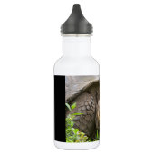 Bouteille D'eau Tortue géante (Gauche)